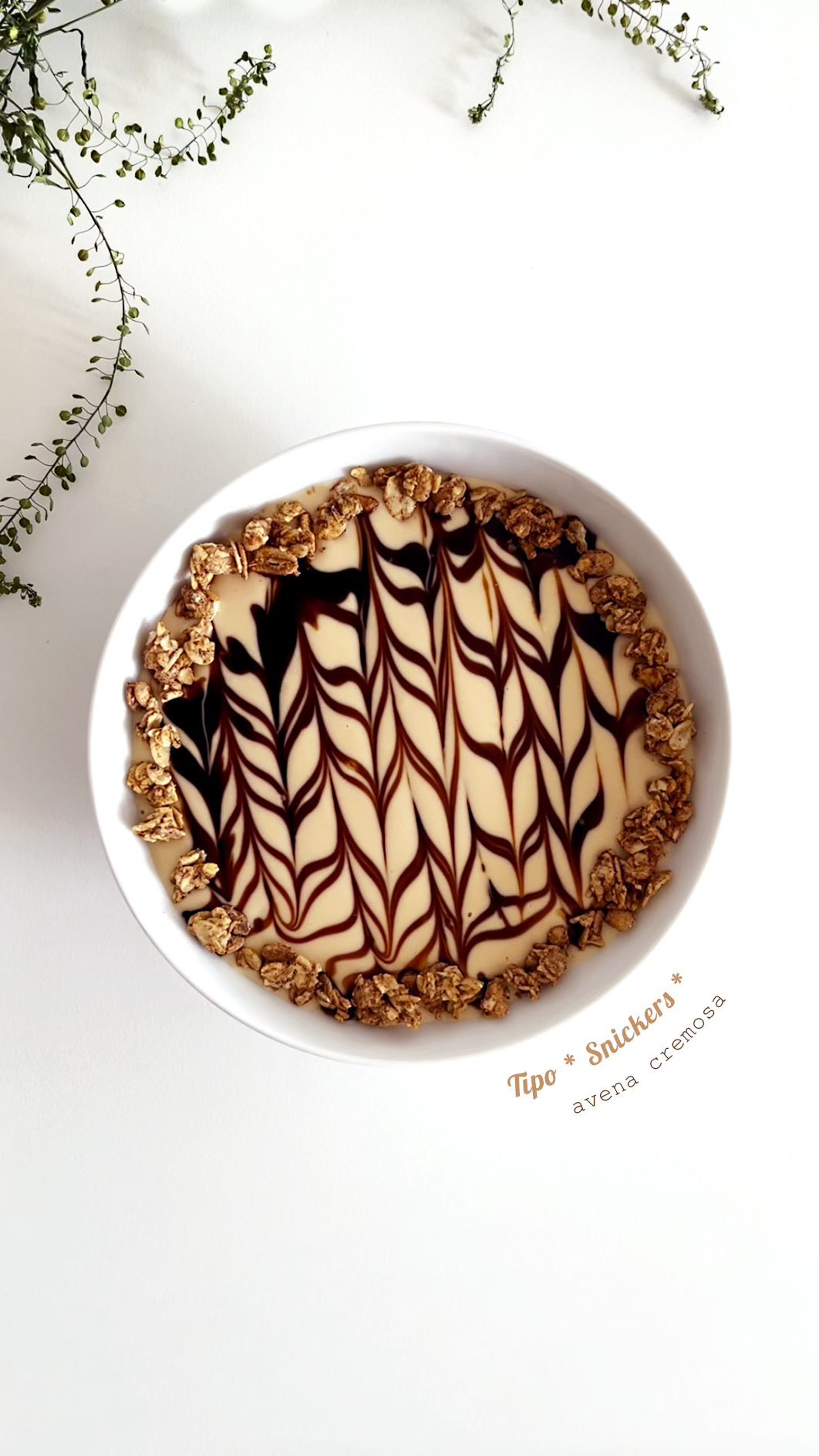 Avena tipo Snickers