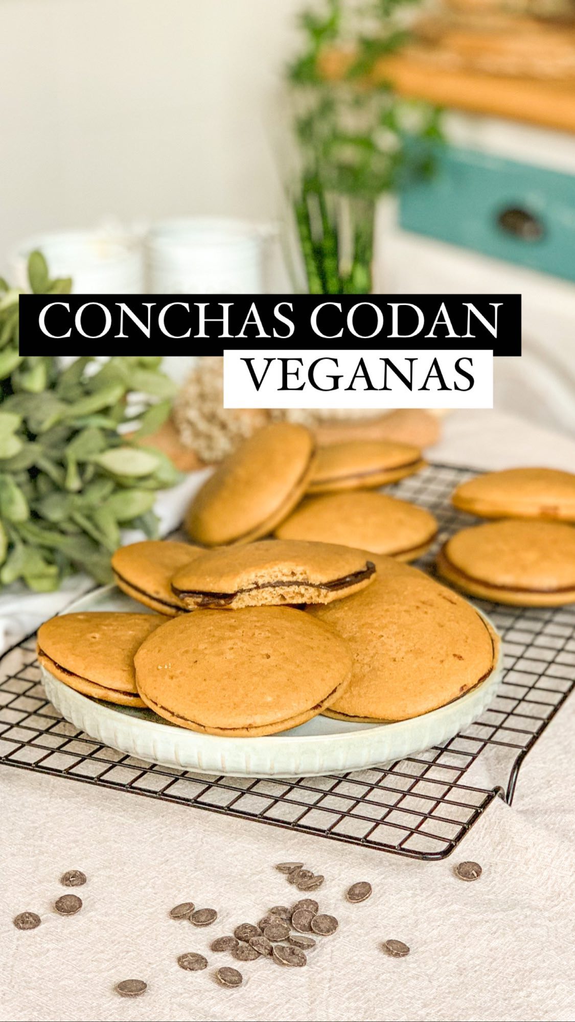 Conchas veganas de chocolate